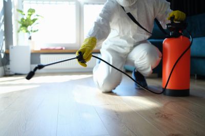 Trapdoor Spider Extermination in New Braunfels, TX